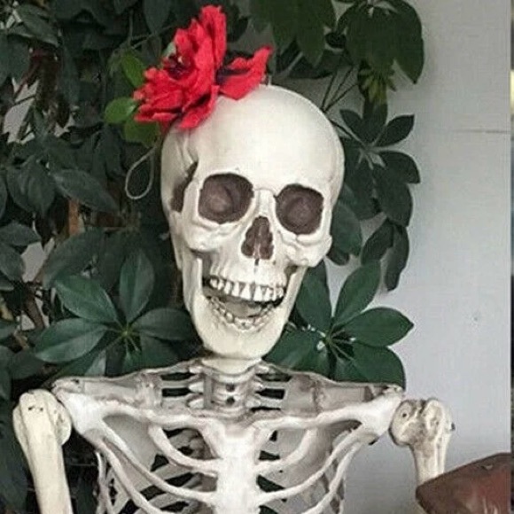 skeletonsnomore